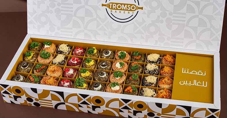 ترومسو cover image