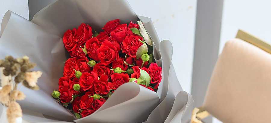 سين فلور cover image