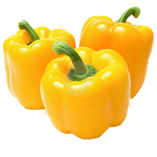 فلفل حلو اصفر عماني طازج 500جم