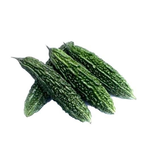 قرع مر سعودي طازج 1كجم