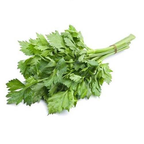 كرفس ربطة وسط