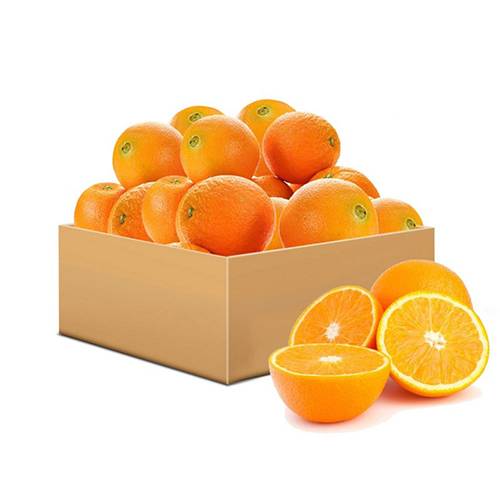 برتقال عصير جنوب افريقي 15كجم