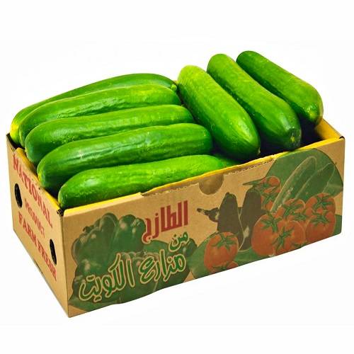 خيار كويتي طازج كرتون 2كجم