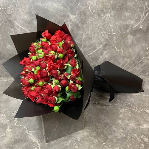 احمر 20