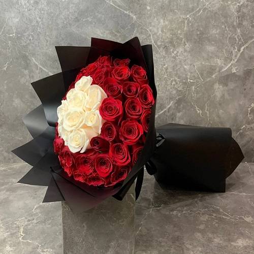 احمر مع خطوط سوداء
