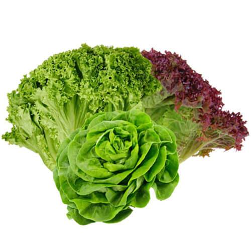 تشكيلة خس طازج 3حبة