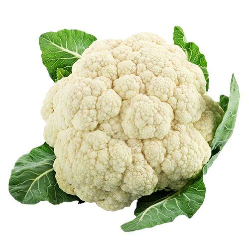 زهرة كويتي طازج 1حبة