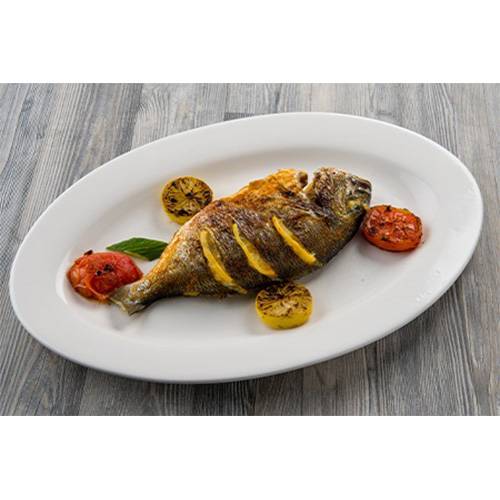 دنيس تركي كبير