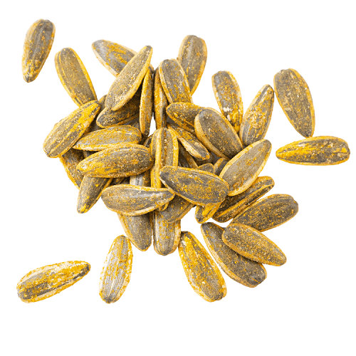 حب شمسي مدخن