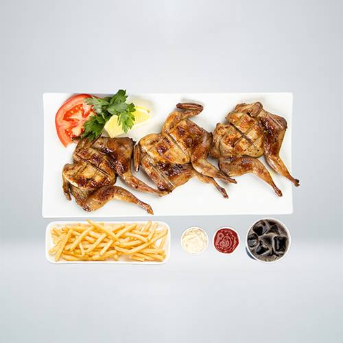 وجبة فري مشوي