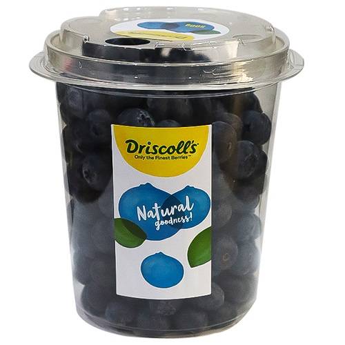 دريسكولز توت ازرق بري جنوب افريقي 500جم