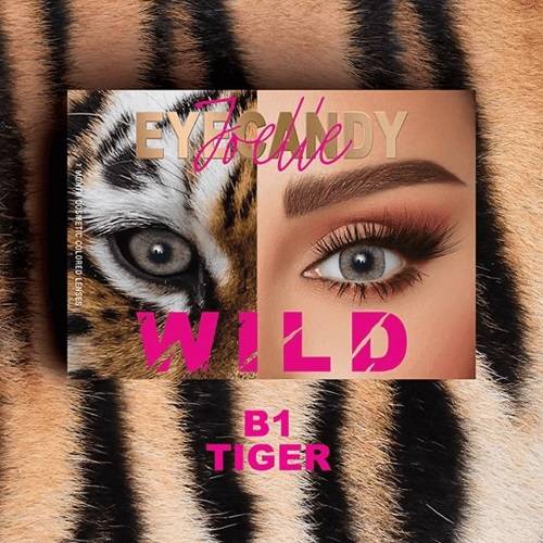 عدسات اي كاندي B1 تايجر شهر واحد.G15231