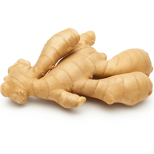 زنجبيل هندي طازج 500جم تقريبا