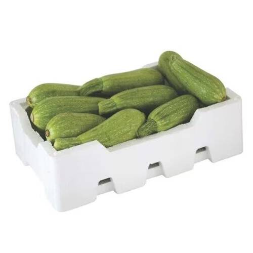 كوسه اردني طازج فلين 5كجم تقريبا