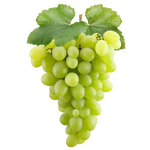 عنب ابيض 1كجم