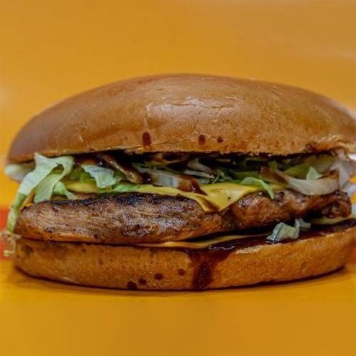 تشيكن فيليه مشوي