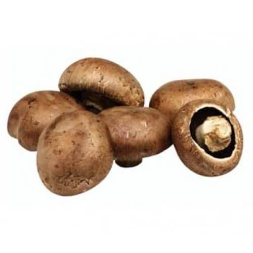 فطر مشروم هولندي طازج بني 250جم