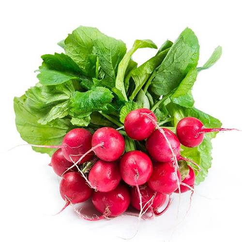 فجل احمر طازج هولندي 125جم