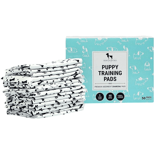 هيدز اب فور تيلز وسادات تدريب الجراء مقاس 60×45سم 50قطعة