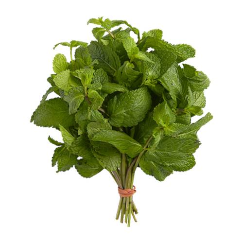 باقة نعناع طازج 1قطعة