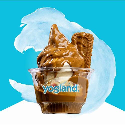 تويستر لوتس