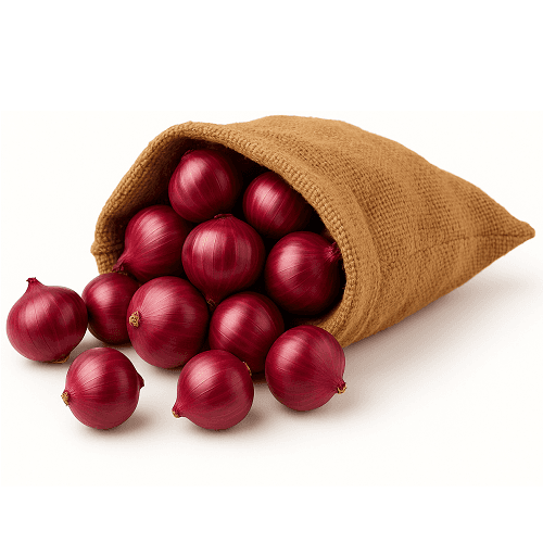 بصل يمني خيشة 2.5كجم تقريبا