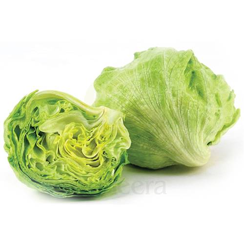 خس مدور اردني عبوة 1كجم