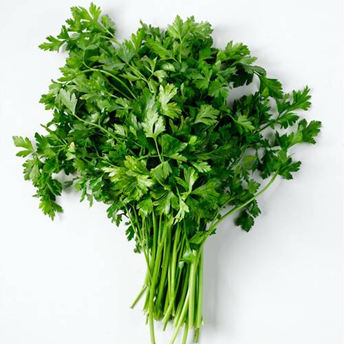 باقة بقدونس طازجة