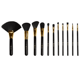 بي اتش كوزماتيكس طقم فرش مكياج في علبة جلد اسود 12حبة