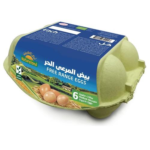 ارض الطبيعة بيض المرعى الحر العضوي 6حبة