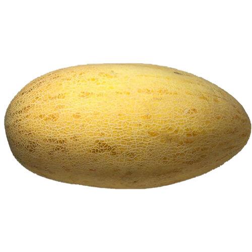 شمام اردني طازج 1كجم تقريبا