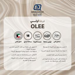 اولي مرتبة طبية 200×150×18سم