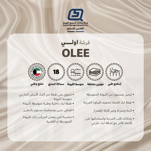 اولي مرتبة طبية 200×160×18سم