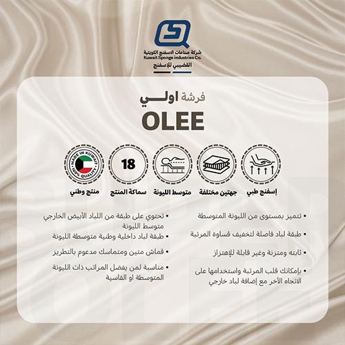 اولي مرتبة طبية 190×90×18سم