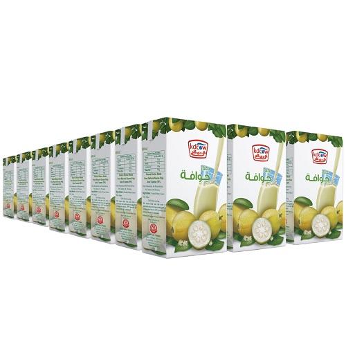 كي دي كاو عصير الجوافة نكتار 250مل 24حبة
