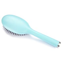 ليونيس فرشاة شعر ازرق