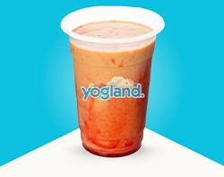 عصائر سيجنتشر