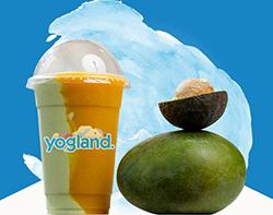 مشروب الشهر