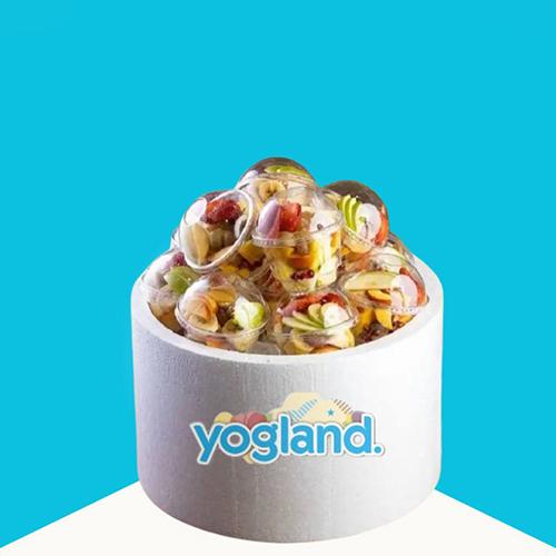 بوكس الفواكة 12حبة