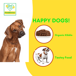 بيتديكشن طعام جاف للكلاب لحم بقري وارز غني بالبروتين 2كجم