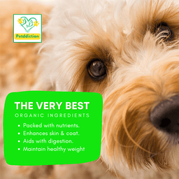 بيتديكشن طعام جاف للكلاب لحم بقري وارز غني بالبروتين 2كجم