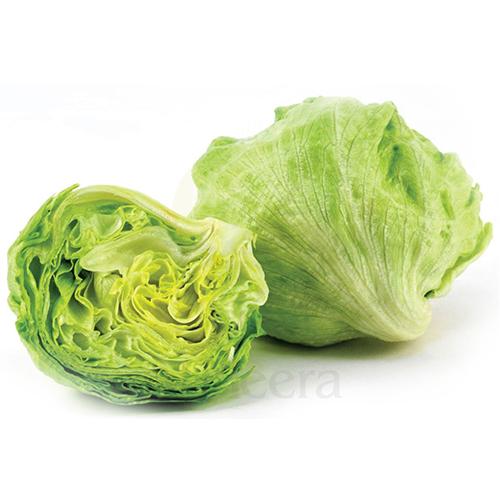 خس مدور اردني عبوة 1كجم